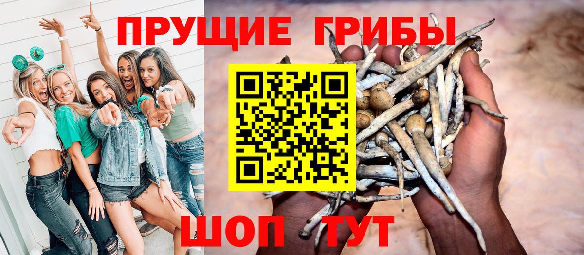 Псилоцибиновые грибы Psilocybine cubensis Чапаевск